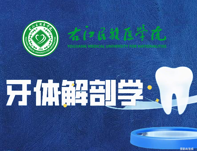 牙体解剖学